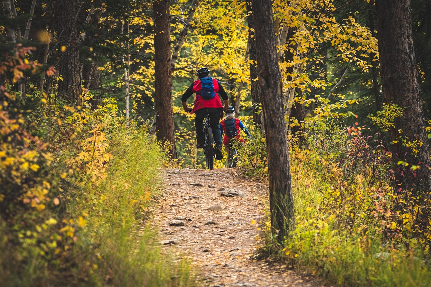 Skate, Bike, and Play: Parks to Explore